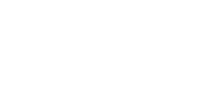 MPHI 2020 Annual Report
